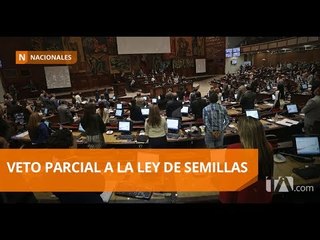 Download Video: Pleno de la Asamblea se allanó al veto parcial de la Ley de Semillas - Teleamazonas