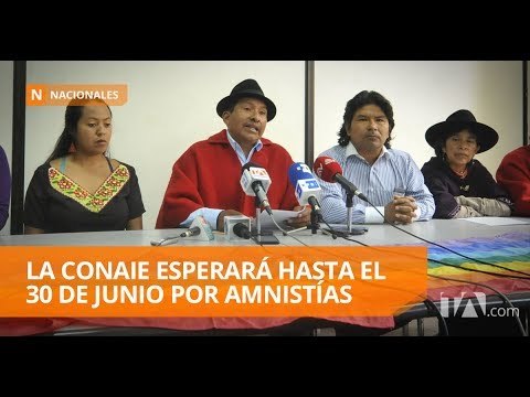 Comisión de la Asamblea tiene 15 días para dar respuesta a pedidos de amnistía - Teleamazonas