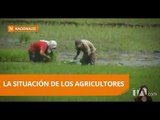 Agricultores exigen precios oficiales y acceso a créditos - Teleamazonas