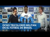 Ocho tricolores militan en Brasil - Teleamazonas