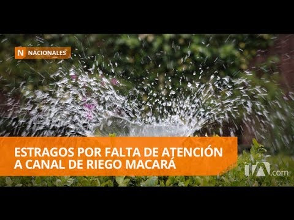 Agricultores y ganaderos de Loja piden atención urgente - Teleamazonas