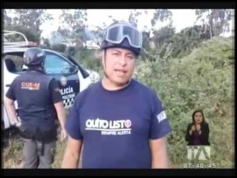 Rescatan a yegua que cayó en una quebrada en Conocoto