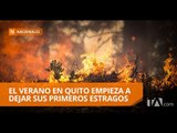 Segundo incendio en cerro Atacazo consume más de 10 hectáreas - Teleamazonas