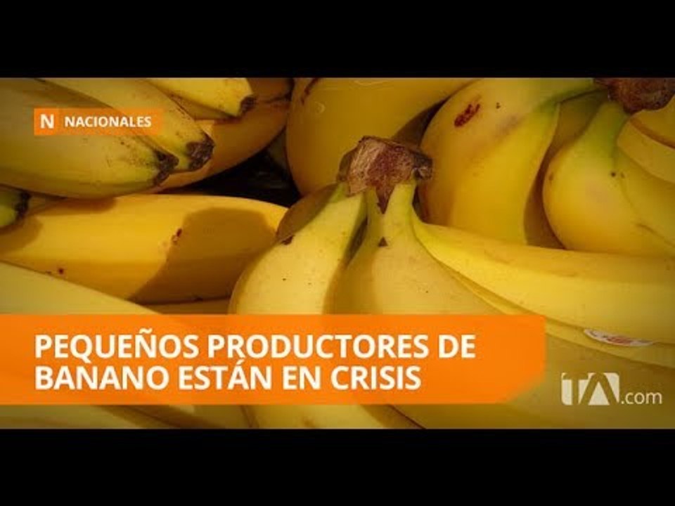Cae el precio de la caja de banano - Teleamazonas