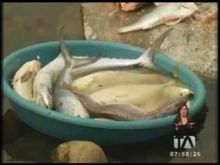 Enfermedades estomacales y de la piel a causa de la minería