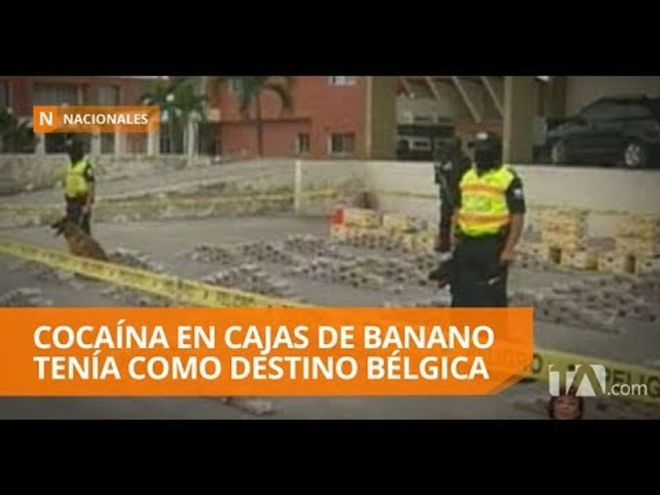 Decomisan droga en Puerto Marítimo de Guayaquil - Teleamazonas