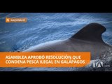 Asamblea Nacional condena pesca ilegal en Galápagos - Teleamazonas