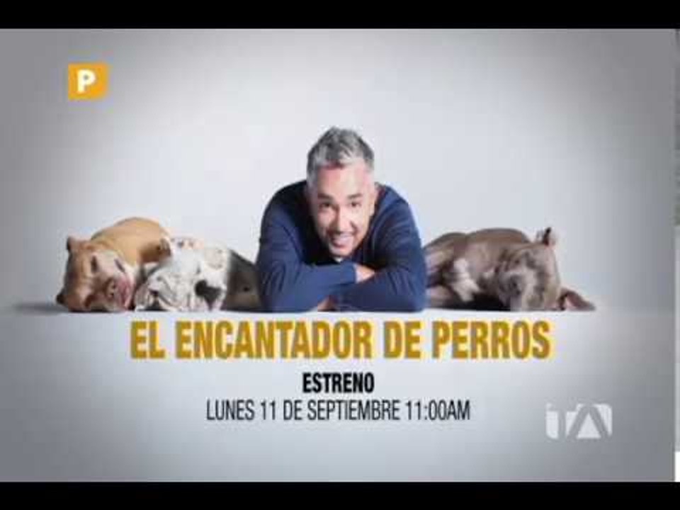 El Encantador de Perros - Teleamazonas