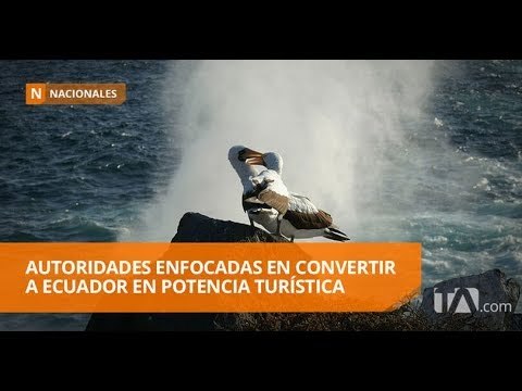 Ministerio de Turismo trabaja en tres ejes - Teleamazonas