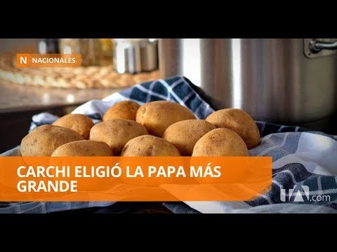 Séptimo concurso de la papa más grande del país - Teleamazonas