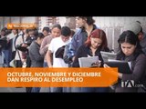 Miles de personas acuden a empresas por una plaza de trabajo - Teleamazonas