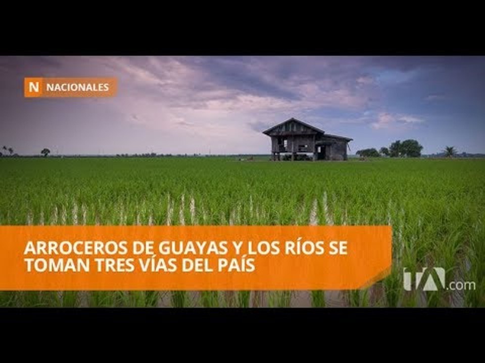 Arroceros se toman tres vías para exigir control de precios - Teleamazonas
