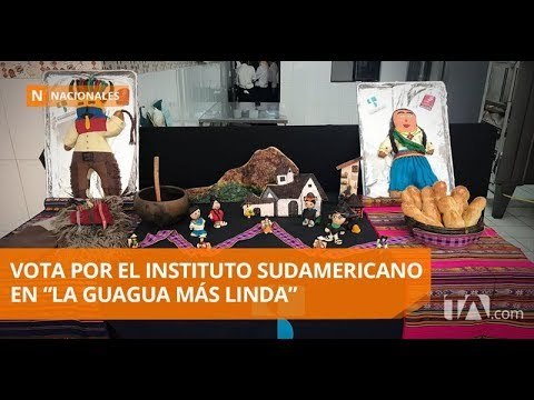 El Instituto Sudamericano participa en La Guagua más linda - Teleamazonas