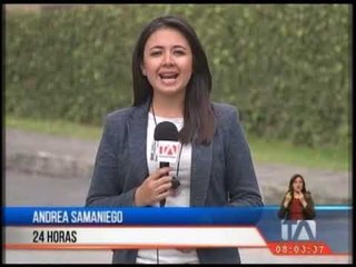 Celi sí tiene potestad para destituir a Glas, según excontralor