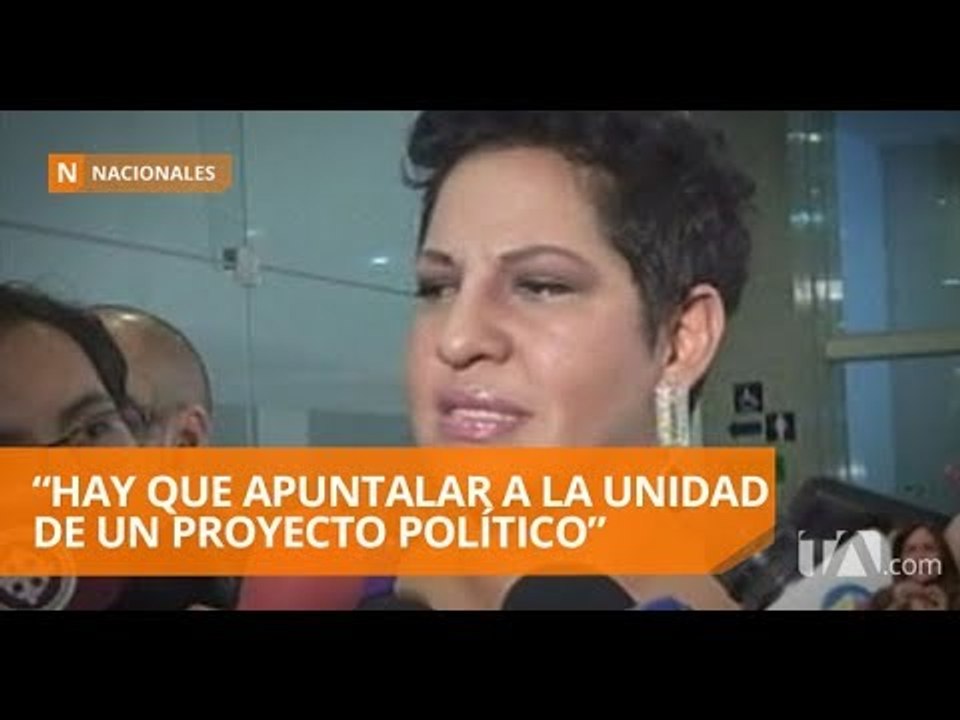 En Alianza PAIS habría un subbloque dentro del partido - Teleamazonas