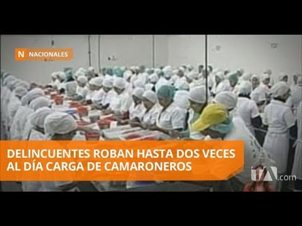 Sector camaronero denuncia millonarias pérdidas por robos - Teleamazonas