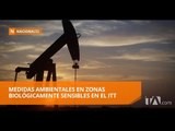 Petroamazonas desarrolla medidas ambientales en el ITT - Teleamazonas