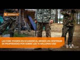 Disidentes FARC; bienes millonarios en frontera ecuatoriana - Teleamazonas