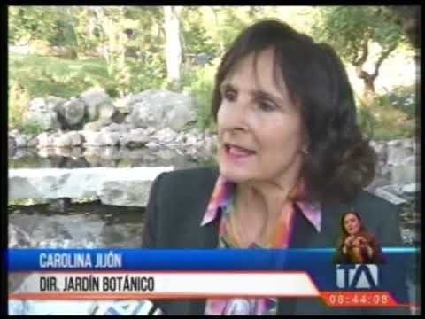 Se inauguró el primer jardín japonés en Ecuador