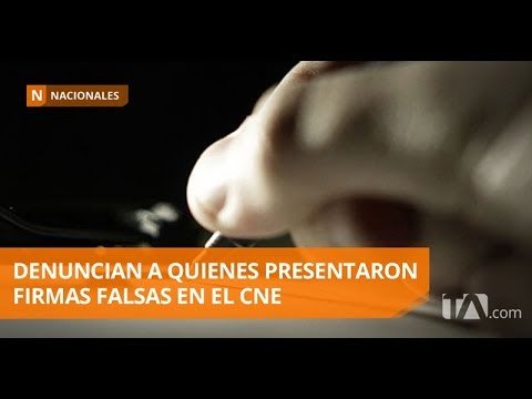 Foro de Mujeres denunció ante el CNE a quienes presentaron firmas - Teleamazonas