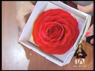 Download Video: Flores Ecuatorianas, de las más requeridas en San Valentín