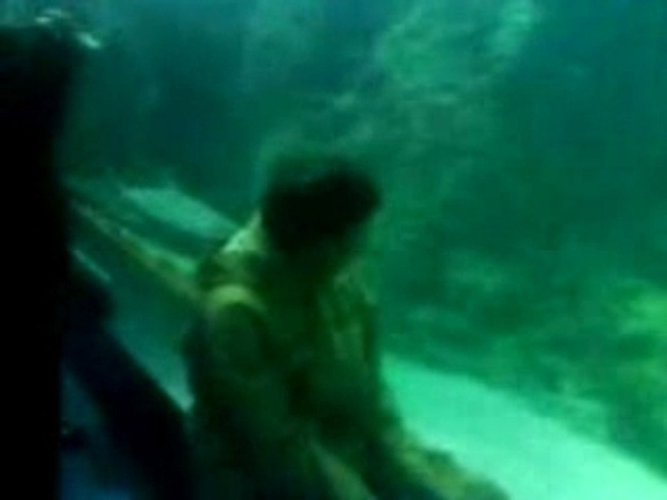 océanopolis   de  BREST