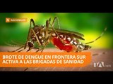 Brigadas sanitarias de Ecuador y Perú en sectores afectados por brote de dengue - Teleamazonas
