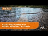 1.190 personas damnificadas por las lluvias y desbordamientos de ríos - Teleamazonas