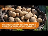 Precios bajos de la papa preocupan a agricultores - Teleamazonas