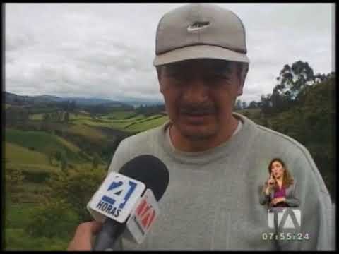 Precios bajos de la papa generan problemas a los agricultores