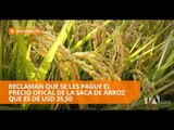 Arroceros dicen que solo les pagan 20 dolares por saca de arroz - Teleamazonas