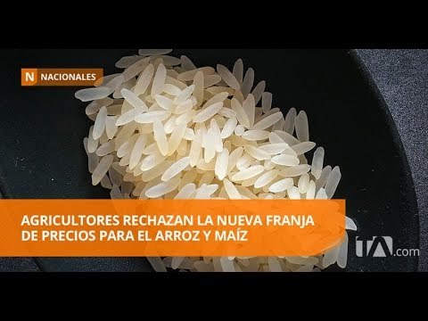 Los arroceros protestan nuevamente por los bajos precios de la gramínea - Teleamazonas