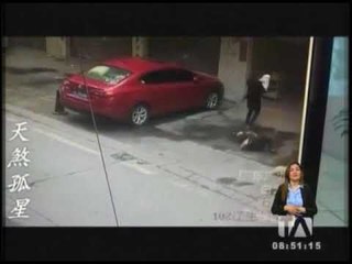 Mundo Curioso 25/04/2018