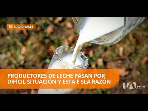 Productores de lácteos dicen estar en la quierbra - Teleamazonas