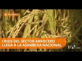 Comisión de Fiscalización trata la crisis del sector arrocero - Teleamazonas