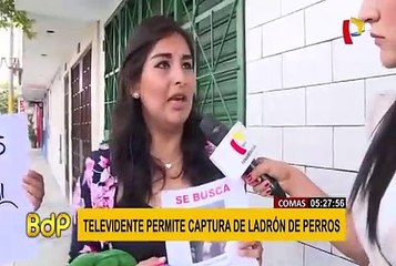 Comas: gracias a la colaboración de televidentes se logró captura de sujeto que robo perro
