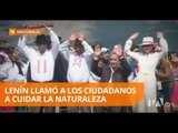 Presidente Moreno participó dela fiesta del Inti Raymi en Cayambe - Teleamazonas