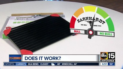 Bull or No Bull: The Defrost Tray