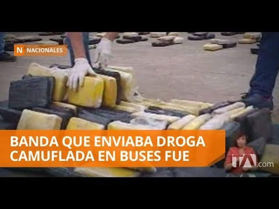 Desarticulan banda que enviaba droga en buses - Teleamazonas
