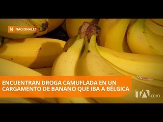 Policía decomisó más de una tonelada de droga en puerto marítimo  - Teleamazonas