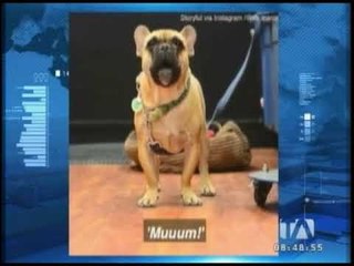 Mundo Curioso 29/05/2018