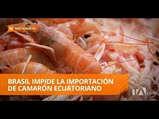 Ecuador acata resolución de la CAN y desmonta Tasa Aduanera - Teleamazonas