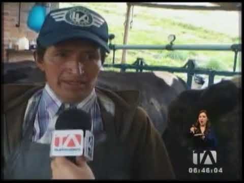 Sector ganadero soporta grave crisis que afecta a productores de leche