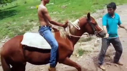 OS PEÃO MAIS ABEIA DO BRASIL