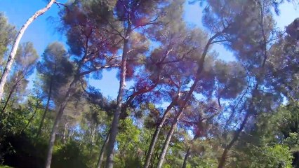 Где-то в парке между Ниццей и Каннами