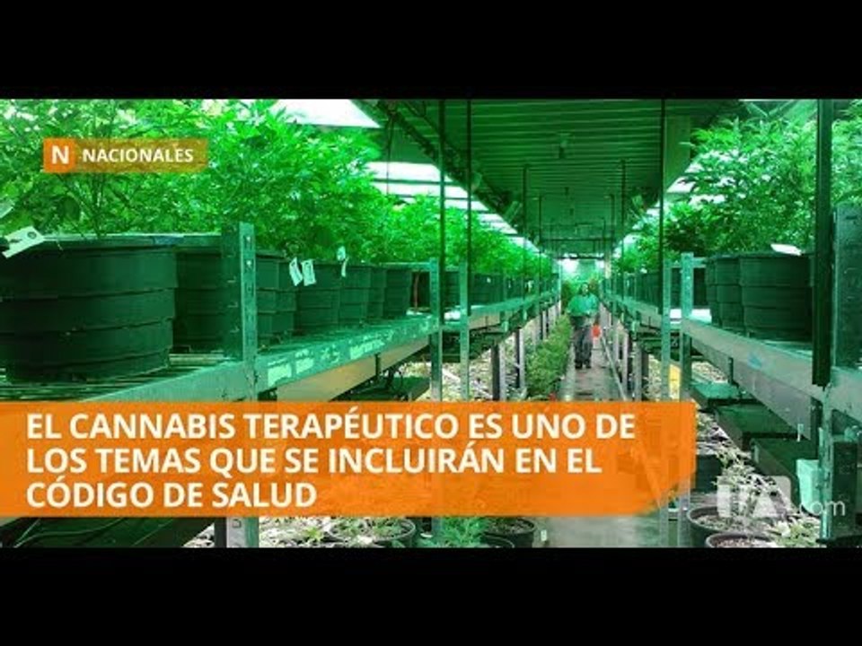 Asambleístas afinan el Código de Salud - Teleamazonas