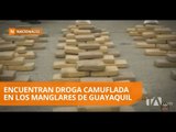 Manglares del Golfo de Guayaquil con ahora centros de acopio de droga - Teleamazonas