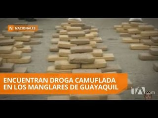 Manglares del Golfo de Guayaquil con ahora centros de acopio de droga - Teleamazonas