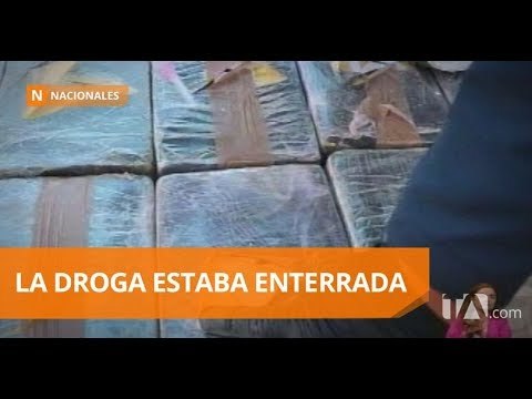 Incautan una tonelada y media de droga en tres operativos policiales - Teleamazonas