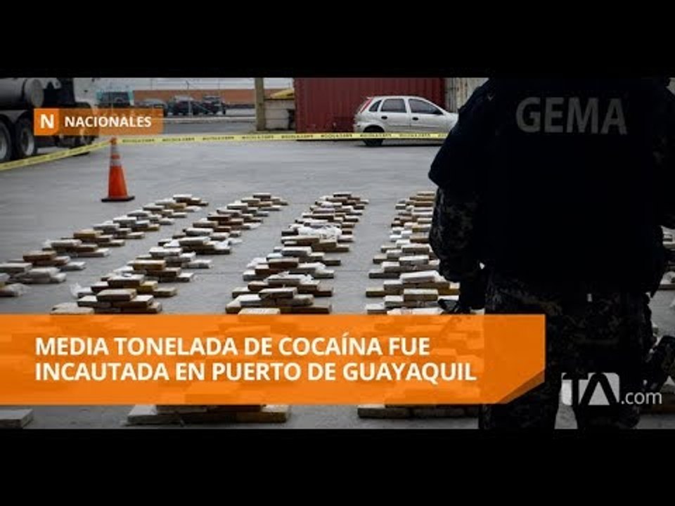 Antinarcóticos decomisó cinco toneladas de precursores químicos en Napo - Teleamazonas